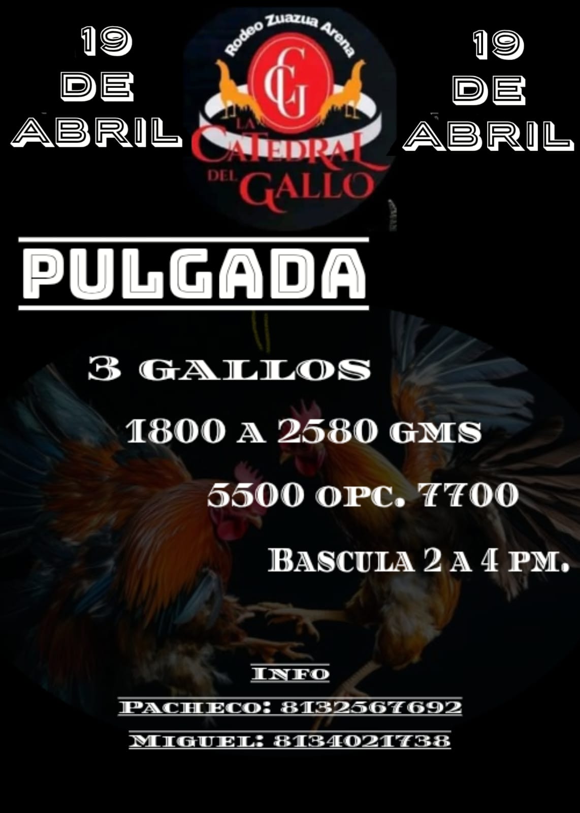 TORNEO DE PULGADA DE 3 GALLOS
